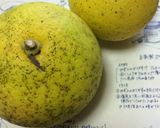 手作りポン酢しょうゆ作り方1写真
