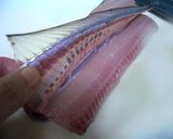 タチウオ刺身作り方3写真
