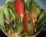 新鮭と紅葉の葉で作る 柿の葉すし作り方2写真