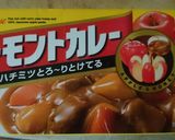 ｽﾞﾎﾞﾗ母ちゃんの愛情入りゴボウカレー作り方8写真