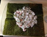 カラフルご飯✿おにぎらず作り方5写真