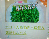 エコ！万能ねぎ＊保存＆栽培しよ～♬作り方22写真
