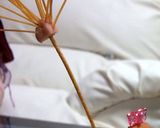 ハロウィンプレートカレー♪作り方11写真
