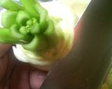 お手軽 蕪のミルクスープ♪作り方1写真