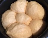砂糖不使用！炊飯器deはちみつきなこパン作り方6写真