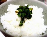 ニラ好きの万能調味料！ニラの醤油漬け作り方5写真
