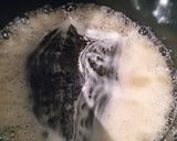 我が家秘伝の柿ポン酢！超フルーティー旨☆作り方2写真