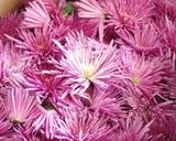 白身魚のソテー菊花餡作り方1写真