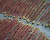さつまいもスティック～大学芋に憧れて～作り方9写真