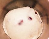 クランベリーチーズストロイゼルブレッド作り方2写真