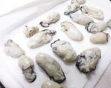 我が家のカキフライ作り方5写真