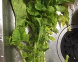 シナシナ葉野菜がシャッキリ!野菜の洗い方作り方8写真