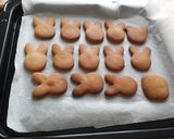 小麦粉・蜂蜜・油だけで手作りクッキー作り方7写真