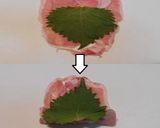 美味ドレのボーノソースで豚ロースのしそ巻作り方1写真