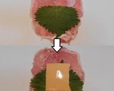 美味ドレのボーノソースで豚ロースのしそ巻作り方2写真