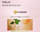 新生姜のシロップとジンジャーエール作り方13写真