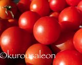 美味しいトマトケチャップ作り方1写真