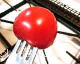 美味しいトマトケチャップ作り方18写真