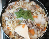 子供が喜ぶ！豚小間と白菜と野菜の中華炒め作り方13写真
