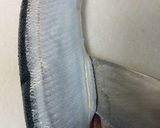 秋刀魚のワイン煮で熱々チーズ焼♪作り方1写真