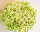 羽根つき餃子★ニンニクなし作り方1写真