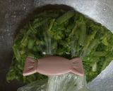 大根の葉の漬物（塩のみ）作り方4写真