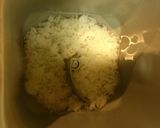HB☆ご飯de超ふんわりしっとり食パン作り方1写真