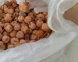 銀杏を拾った後の処理方法(●^o^●)作り方2写真