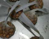 銀杏を拾った後の処理方法(●^o^●)作り方8写真
