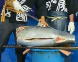 黒マグロの手巻き寿司作り方1写真