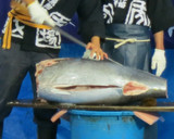 黒マグロの手巻き寿司作り方1写真