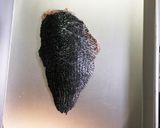 メジナのムニエル作り方3写真