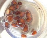 マルメロの蜂蜜漬け作り方9写真