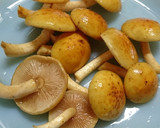 ブナシメジなど3種キノコの味噌旨煮作り方3写真