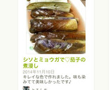 シソとミョウガで♡茄子の煮浸し作り方3写真