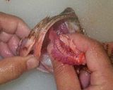 釣り魚、カサゴ料理のいろいろ作り方6写真