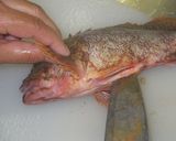 釣り魚、カサゴ料理のいろいろ作り方3写真