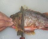釣り魚、カサゴ料理のいろいろ作り方4写真