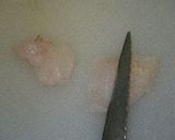 釣り魚、カサゴ料理のいろいろ作り方19写真