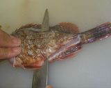 釣り魚、カサゴ料理のいろいろ作り方10写真