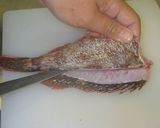釣り魚、カサゴ料理のいろいろ作り方9写真