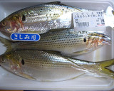 魚(このしろ)の南蛮漬け作り方1写真