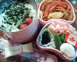 お弁当記録作り方28写真