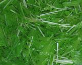 水菜を大量消費！簡単美味しい塩昆布和えだ作り方4写真