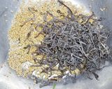 水菜を大量消費！簡単美味しい塩昆布和えだ作り方2写真