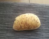 簡単!一度にたくさん作れるクッキー作り方8写真