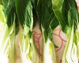 簡単！副菜！チンゲン菜の搾菜肉あんかけ作り方5写真