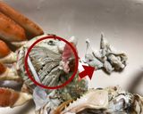 カニの食べ方〜セコガニ〜作り方5写真