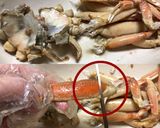 カニの食べ方〜セコガニ〜作り方8写真