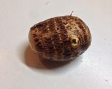 フライパンで簡単☆香ばし醤油の里芋フライ作り方1写真